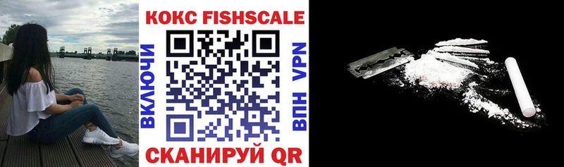 Cocaine Fish Scale  ОМГ ОМГ   Циолковский 