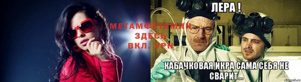 мяу мяу мука Михайловск