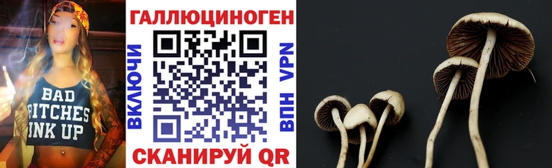 кракен зеркало  купить наркотики сайты  Циолковский  Галлюциногенные грибы GOLDEN TEACHER 